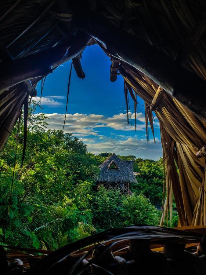 Palapa Hostel Transito Екстер'єр фото