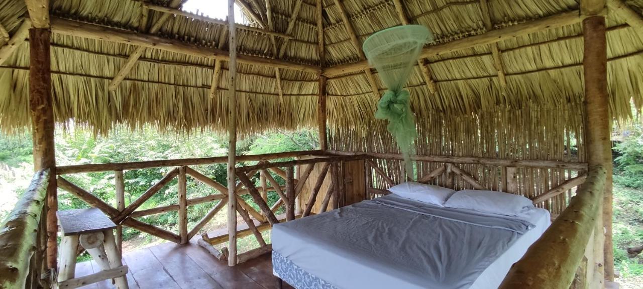 Palapa Hostel Transito Екстер'єр фото