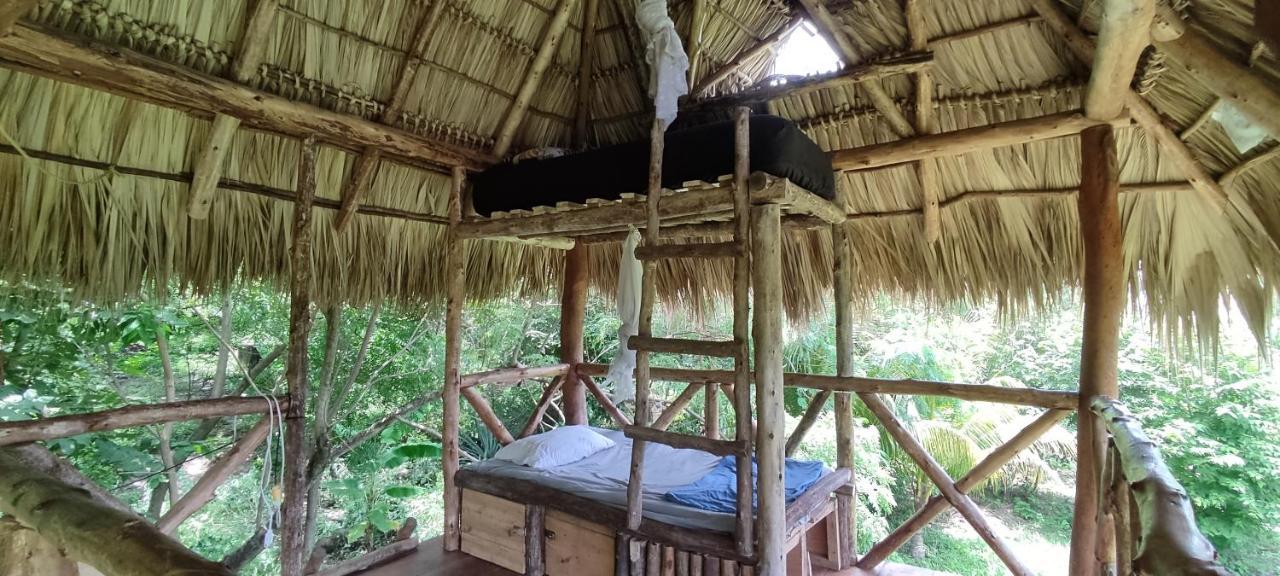 Palapa Hostel Transito Екстер'єр фото