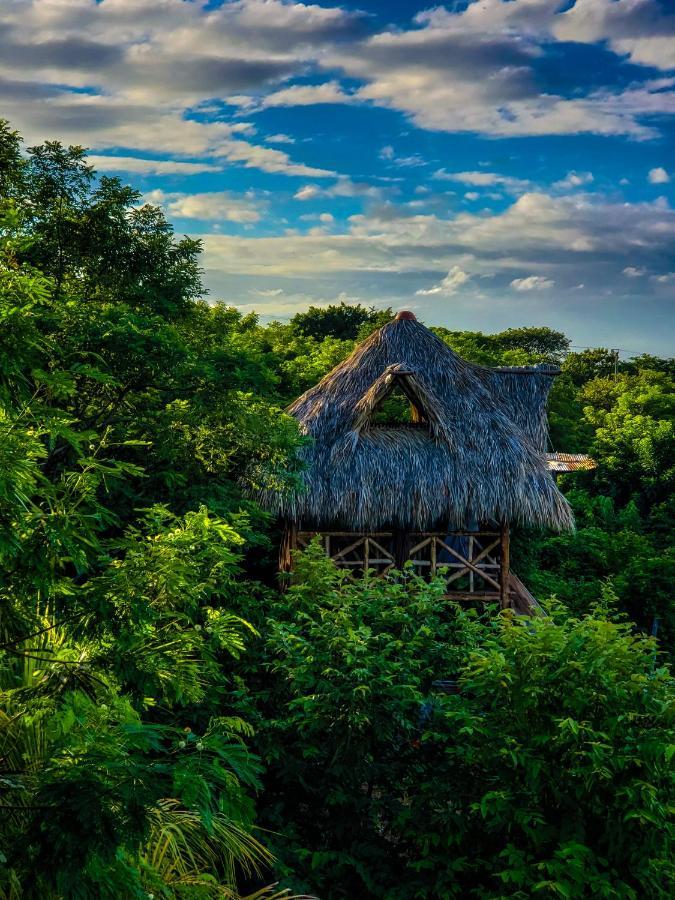 Palapa Hostel Transito Екстер'єр фото