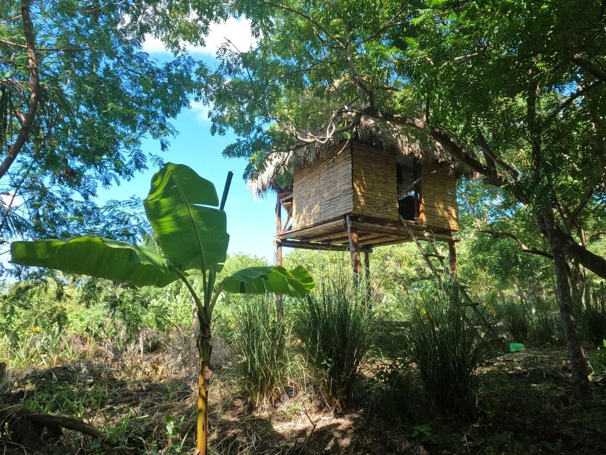 Palapa Hostel Transito Екстер'єр фото