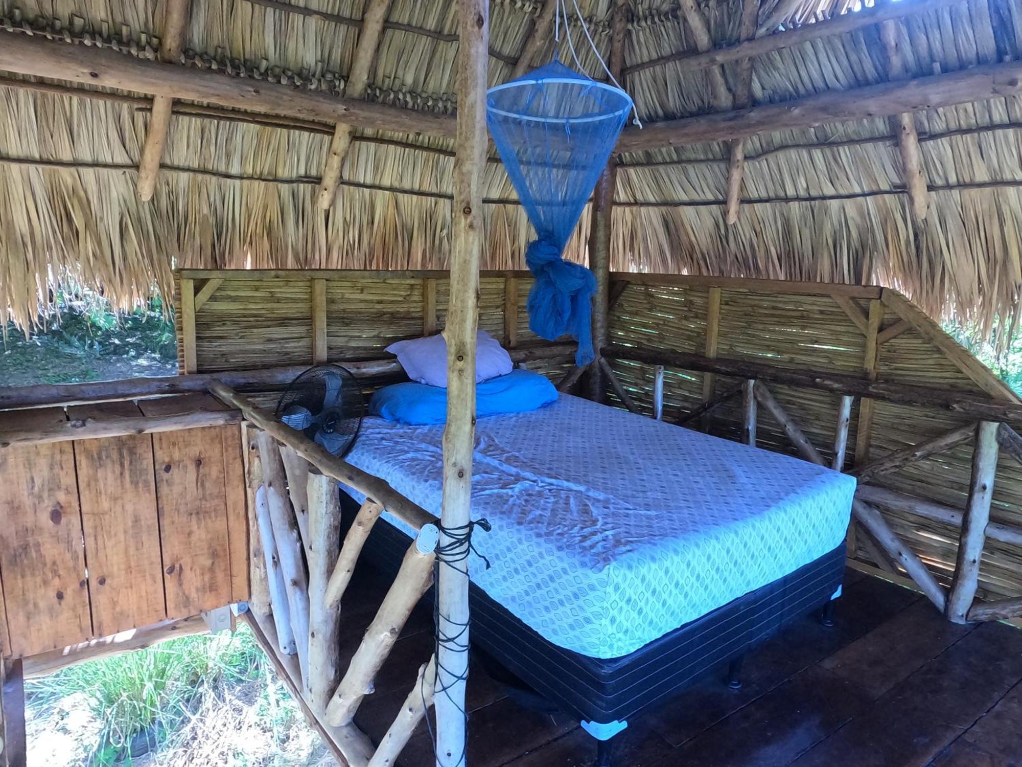 Palapa Hostel Transito Екстер'єр фото