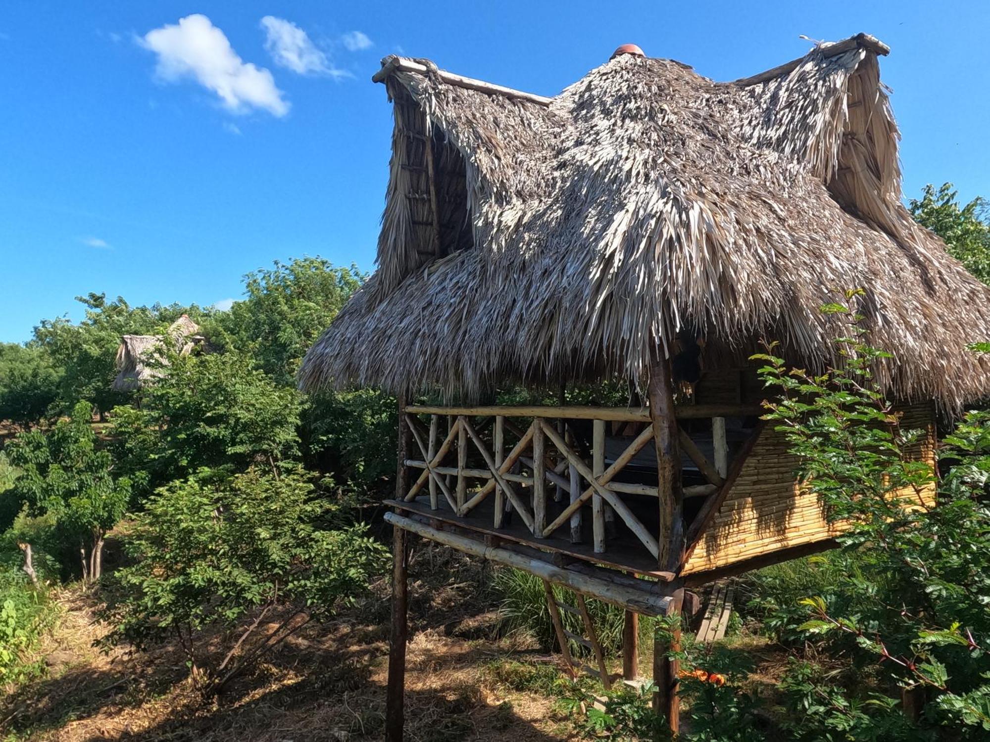 Palapa Hostel Transito Екстер'єр фото