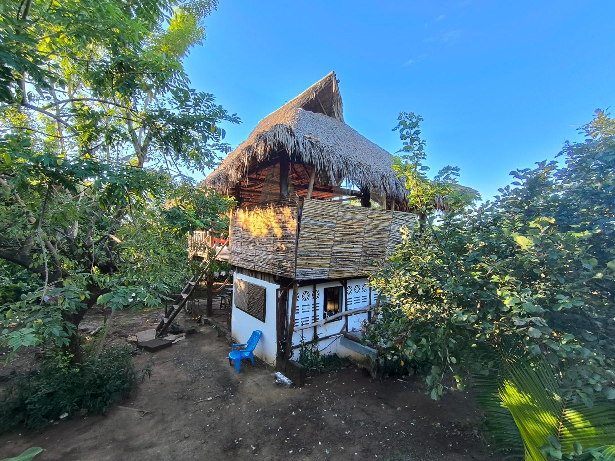Palapa Hostel Transito Екстер'єр фото