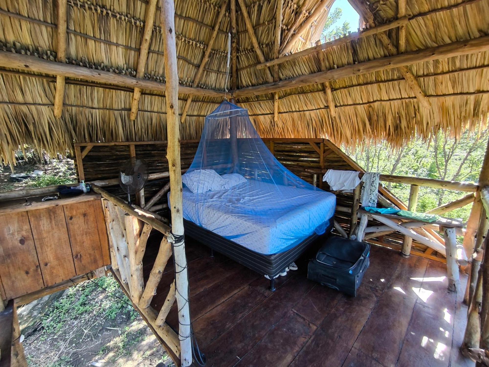 Palapa Hostel Transito Екстер'єр фото