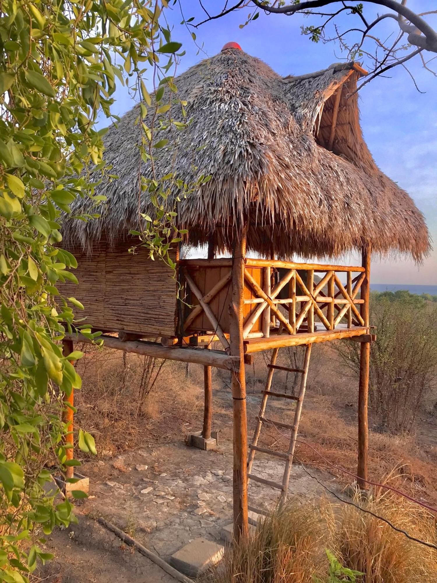 Palapa Hostel Transito Екстер'єр фото