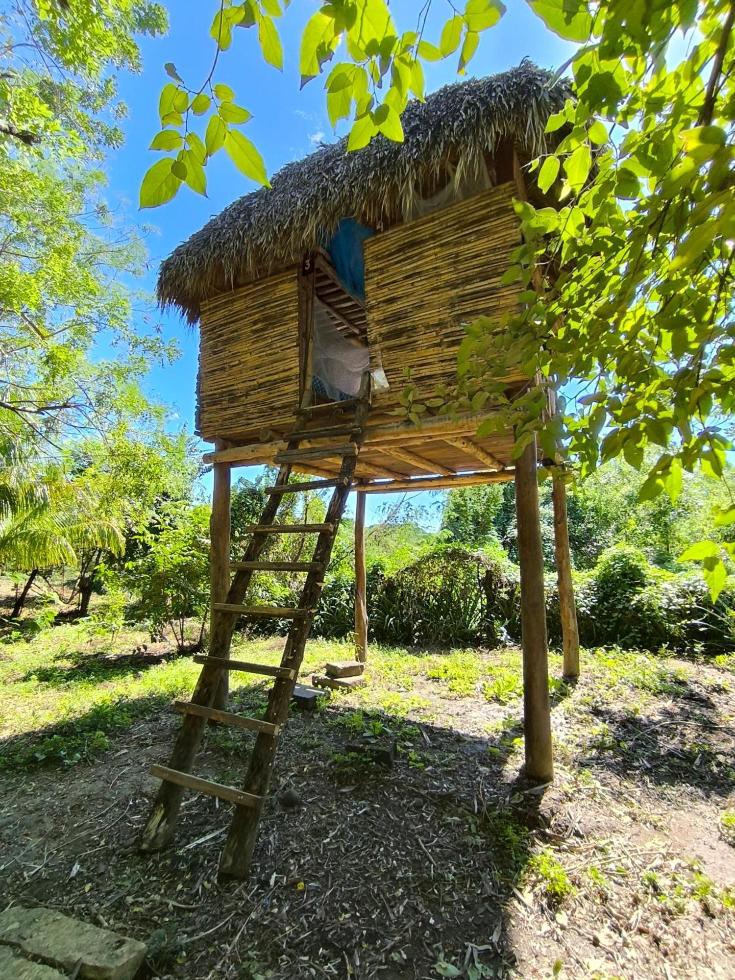 Palapa Hostel Transito Екстер'єр фото